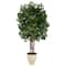 5.5ft. Super Deluxe Ficus Tree in Decorative Urn